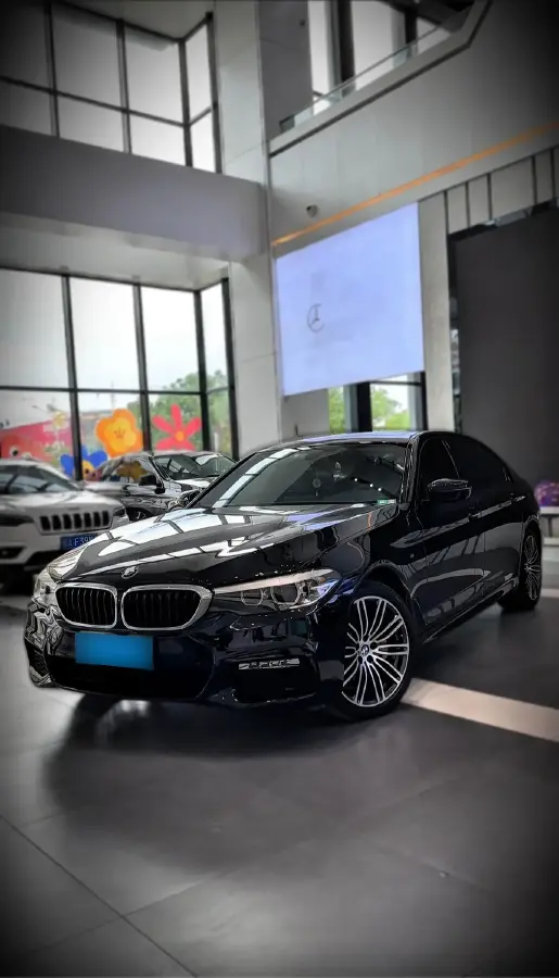 2018 BMW 5 Series 2.0T 252HP L4 8AT