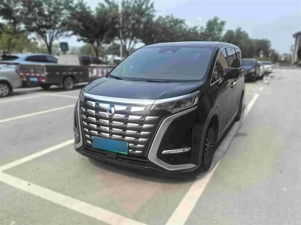 2022 Denza D9 1.5T 139HP L4 E-CVT PHEV 40.06KWH