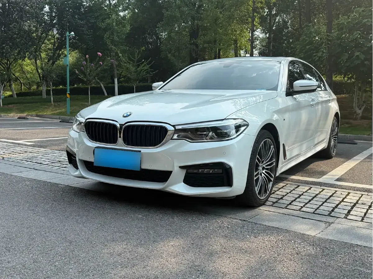 2019 BMW 5 Series 2.0T 252HP L4 8AT
