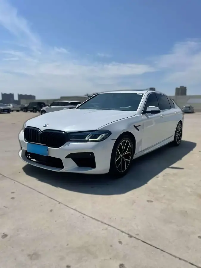 2017 BMW 5 Series 2.0T 218HP L4 8AT