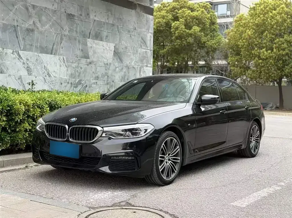 2019 BMW 5 Series 2.0T 252HP L4 8AT