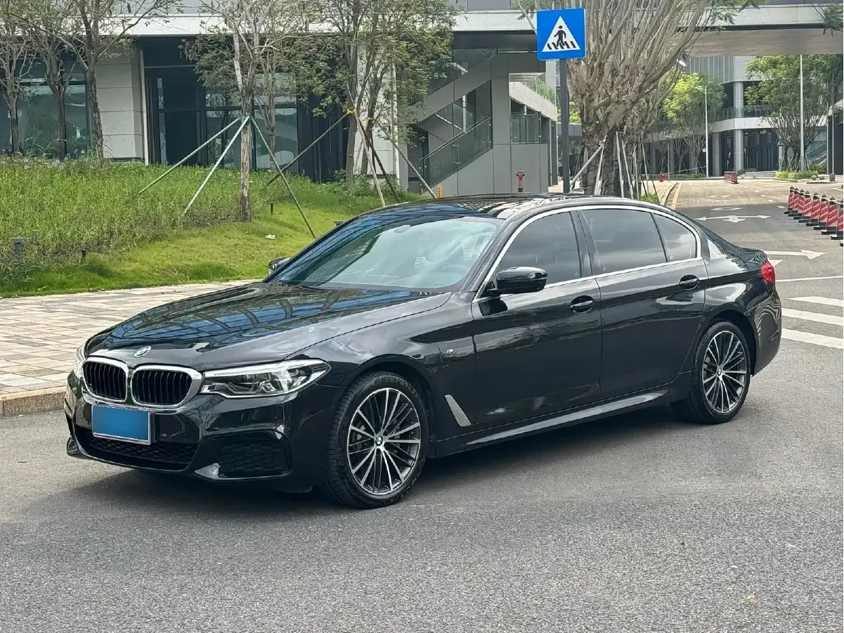 2020 BMW 5 Series 2.0T 252HP L4 8AT
