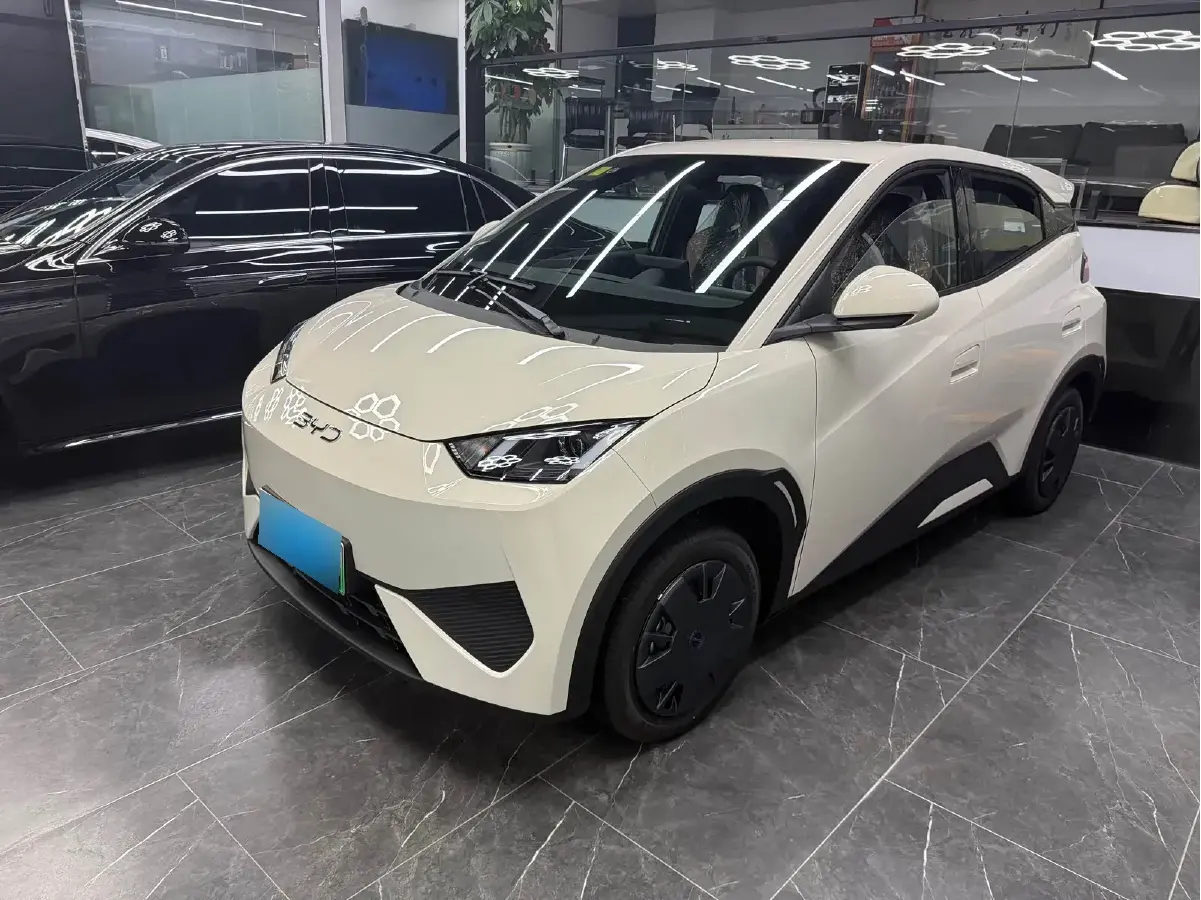 2025 BYD Seagull BEV 30.08KWH