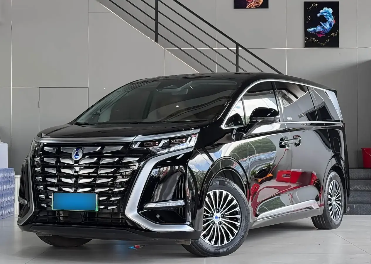 2022 Denza D9 1.5T 139HP L4 E-CVT PHEV 40.06KWH