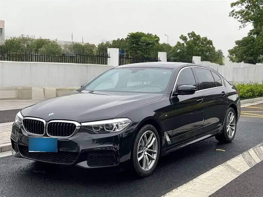 2020 BMW 5 Series 2.0T 184HP L4 8AT