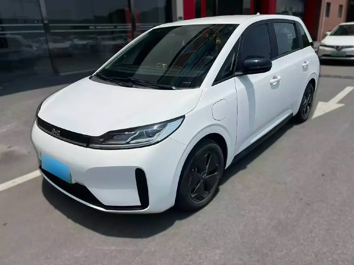 2022 BYD D1 BEV 53.6KWH