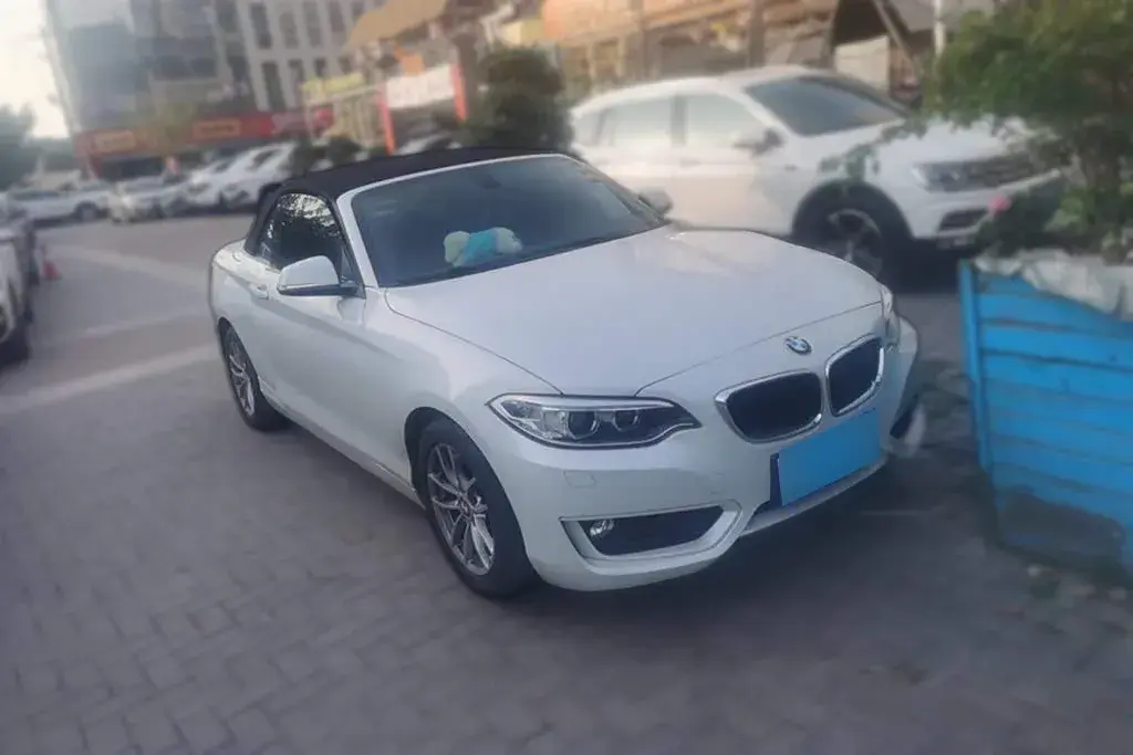 2015 BMW 2 Series 1.5T 136HP L3 8AT