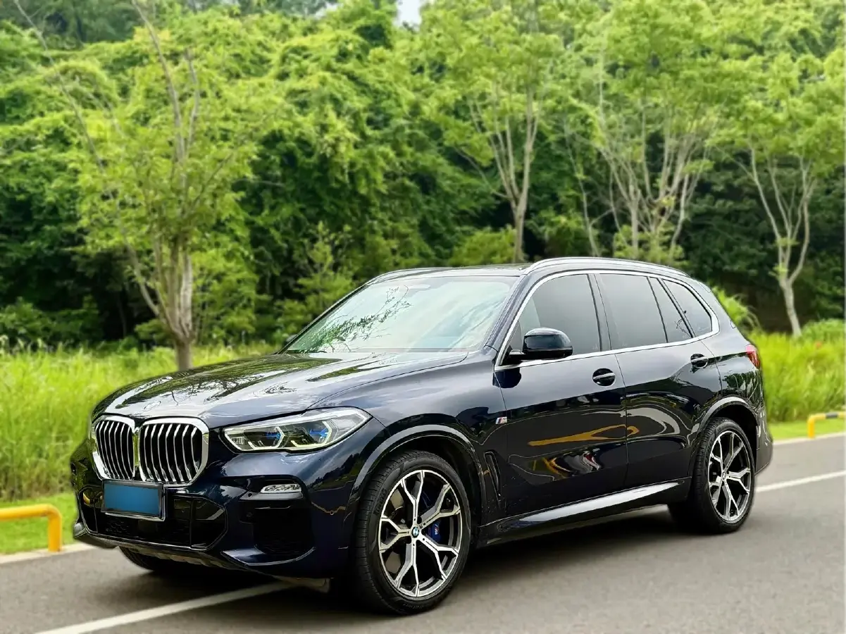 2019 BMW X5 3.0T 340HP L6 8AT