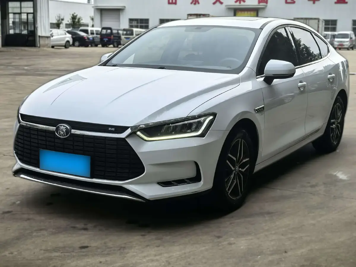 2019 BYD Qin Pro BEV 53.1KWH