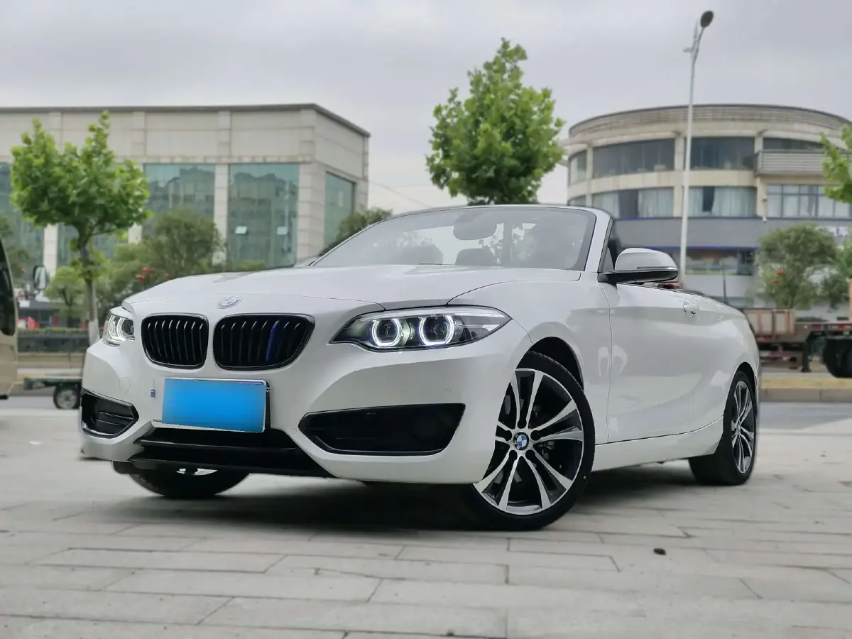 2019 BMW 2 Series 2.0T 184HP L4 8AT