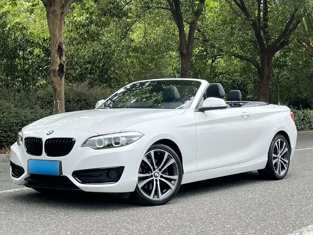 2019 BMW 2 Series 2.0T 184HP L4 8AT