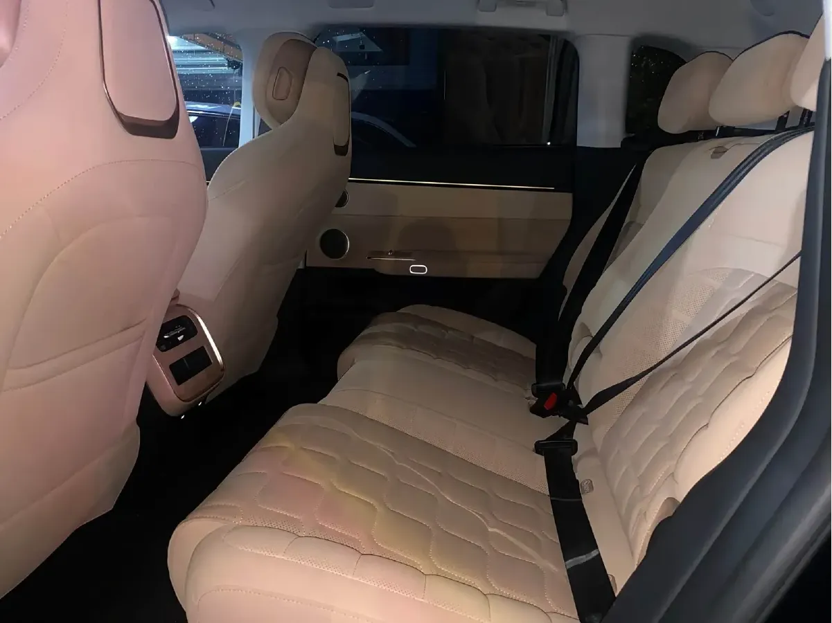 2024 Exceed Sterra ET BEV 77KWH,autocango,china used car exporter,china ev exporter,chinese used car exporter,chinese used ev exporter