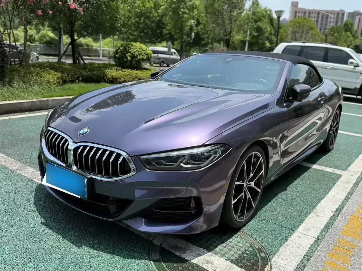 2019 BMW 8 Series 3.0T 340HP L6 8AT