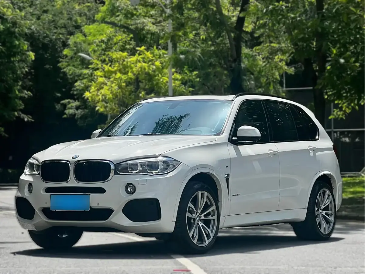 2017 BMW X5 3.0T 306HP L6 8AT