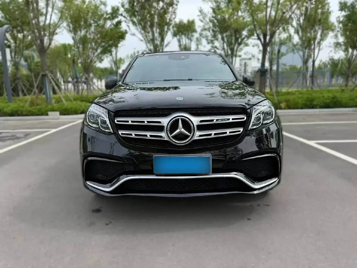 2018 Mercedes-Benz GLS Class 3.0T 258HP V6 9AT