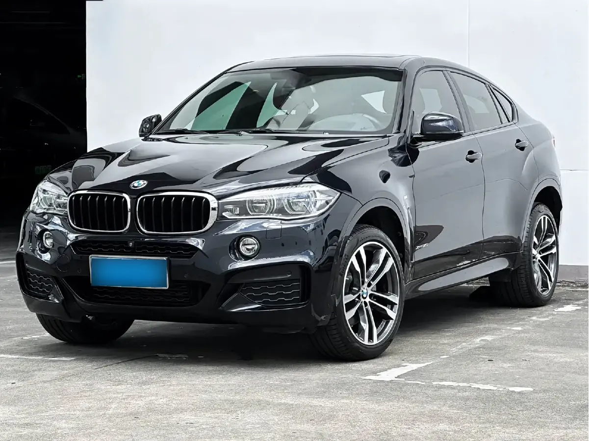 2019 BMW X6 3.0T 306HP L6 8AT