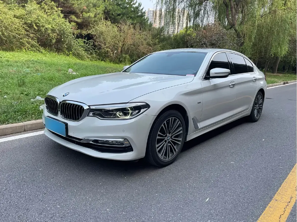 2018 BMW 5 Series 2.0T 252HP L4 8AT
