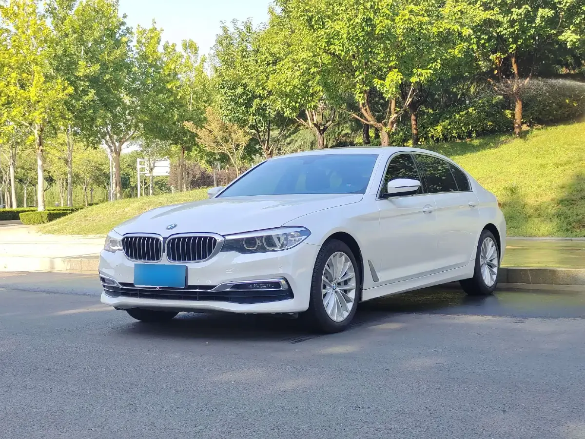 2019 BMW 5 Series 2.0T 252HP L4 8AT