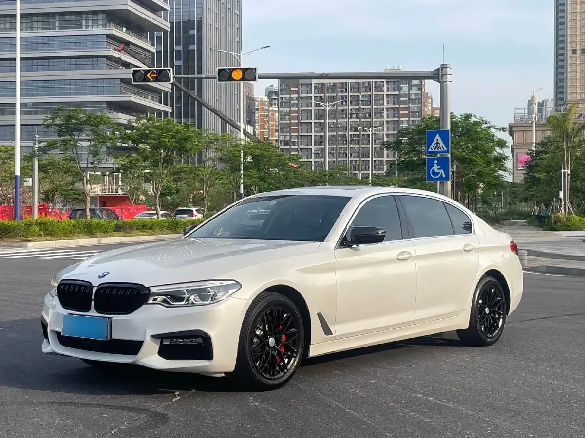 2019 BMW 5 Series 2.0T 252HP L4 8AT