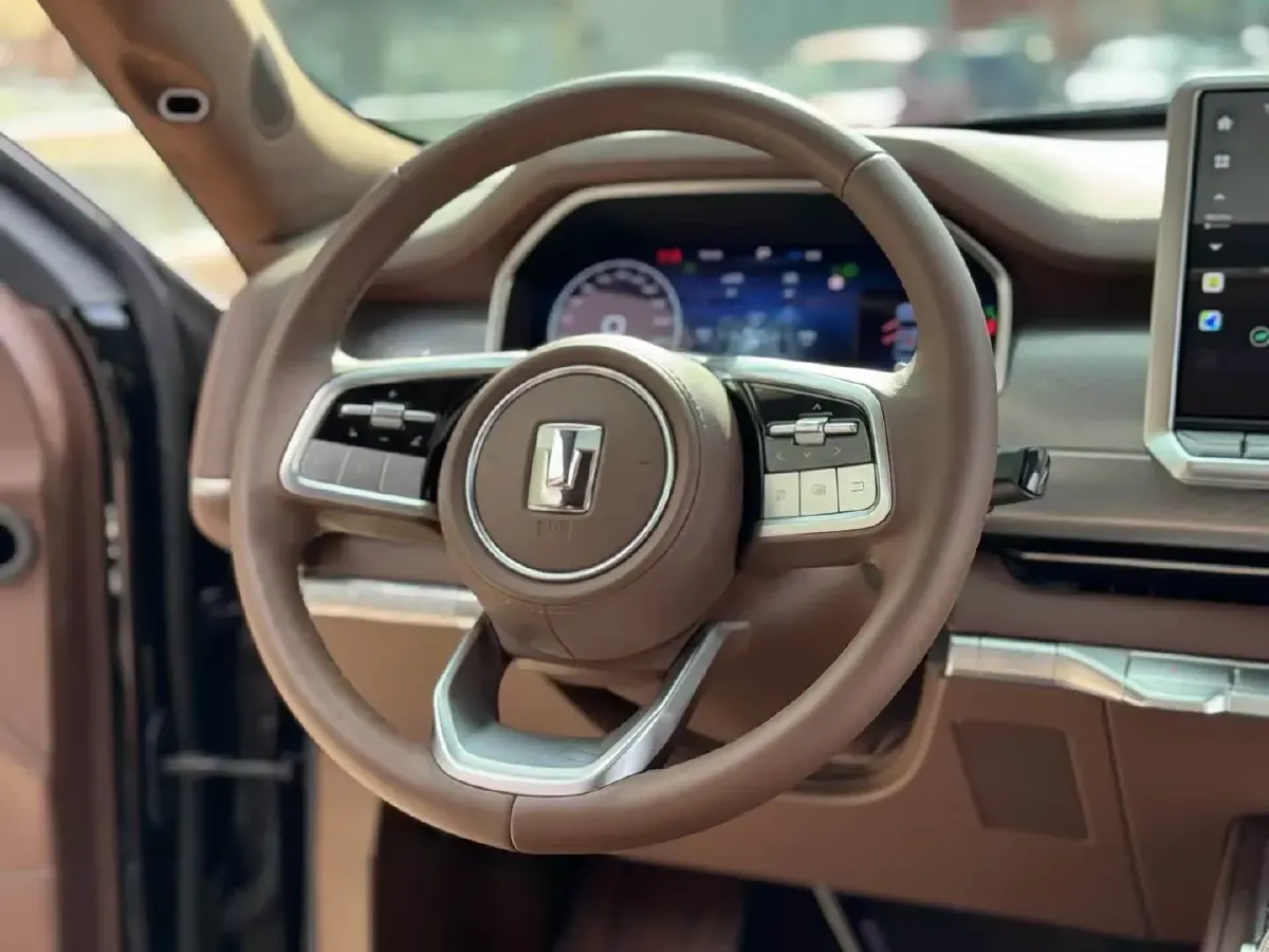 2024 Tank 700 3.0T 360HP V6 9AT PHEV 37.1KWH,autocango,china used car exporter,china ev exporter,chinese used car exporter,chinese used ev exporter