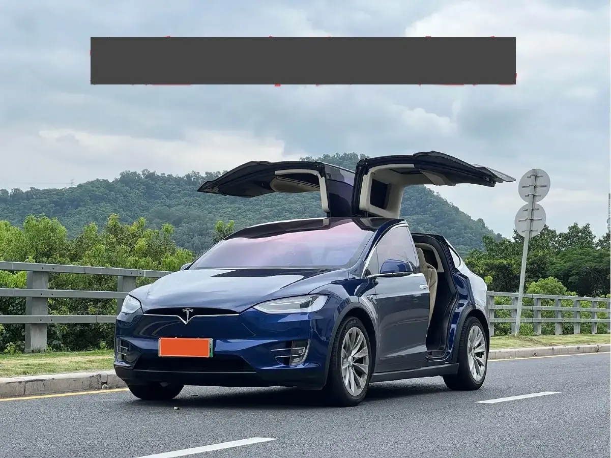 2017 Tesla Model X BEV 100KWH 2017 Tesla Model X BEV 100KWH