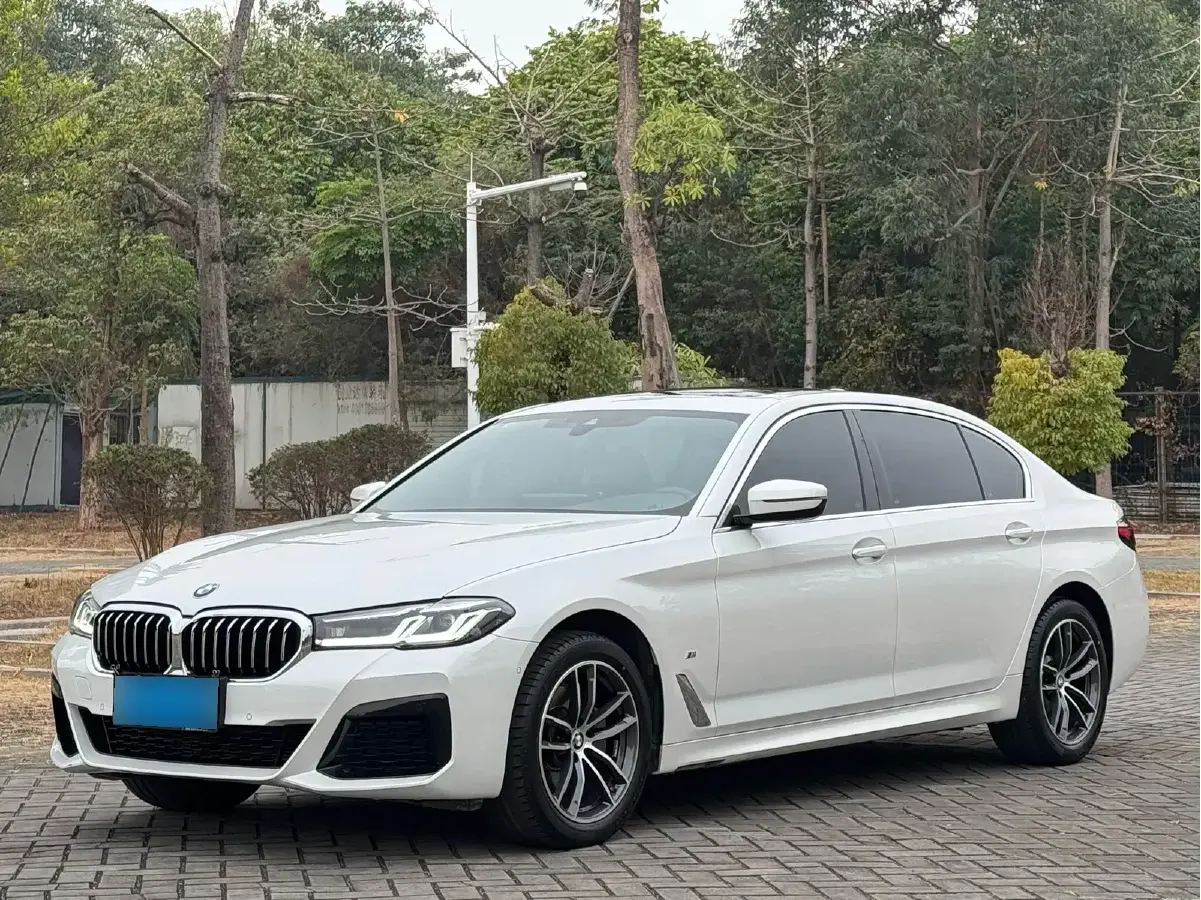 2021 BMW 5 Series 2.0T 184HP L4 8AT