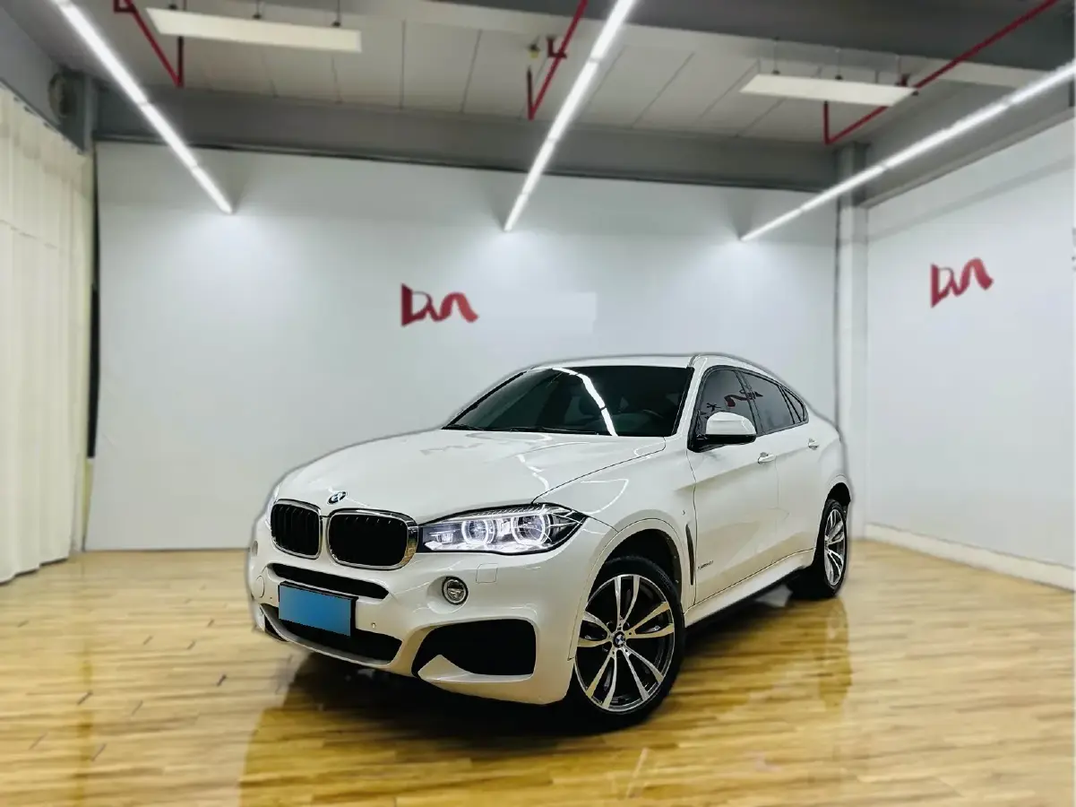 2017 BMW X6 3.0T 306HP L6 8AT