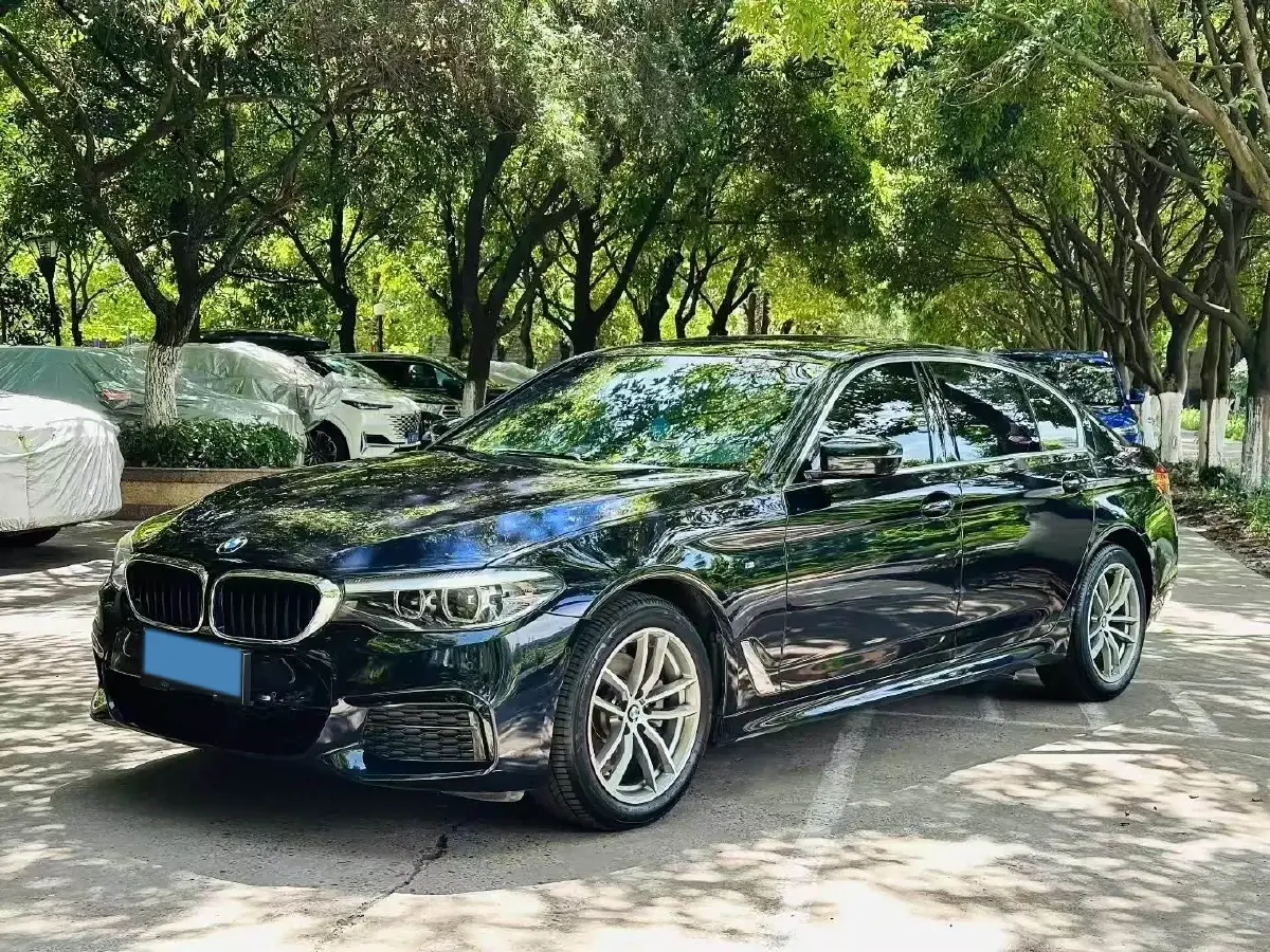 2020 BMW 5 Series 2.0T 184HP L4 8AT