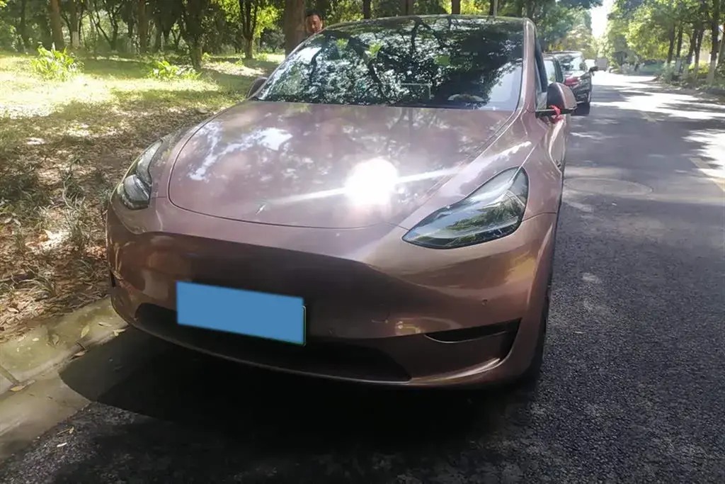 2021 Tesla Model Y BEV 76.8KWH