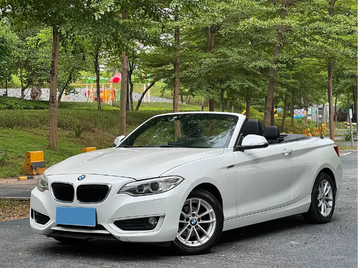 2015 BMW 2 Series 1.5T 136HP L3 8AT