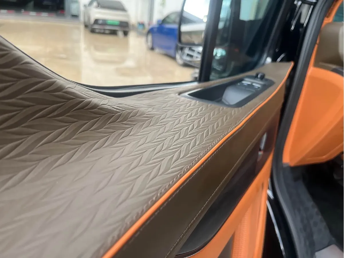 2024 Ford Tourneo 2.0T 220HP L4 9AT,autocango,china used car exporter,china ev exporter,chinese used car exporter,chinese used ev exporter