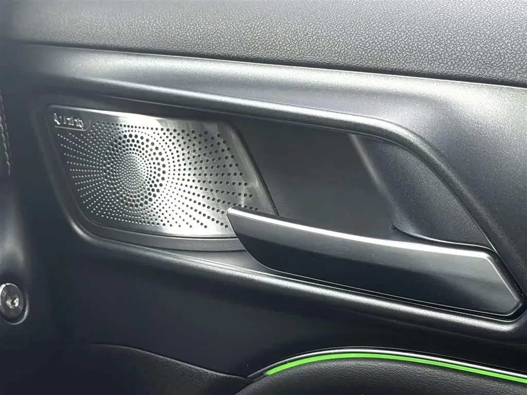 2021 Tank 300 2.0T 227HP L4 8AT,autocango,china used car exporter,china ev exporter,chinese used car exporter,chinese used ev exporter