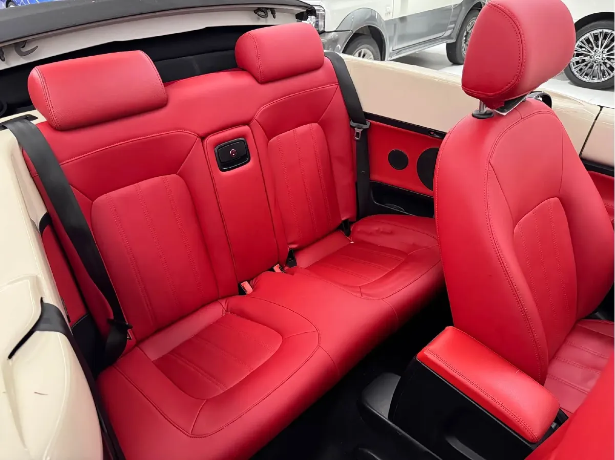 2009 Volkswagen Beetle 2.0L 115HP L4 6AT,autocango,china used car exporter,china ev exporter,chinese used car exporter,chinese used ev exporter