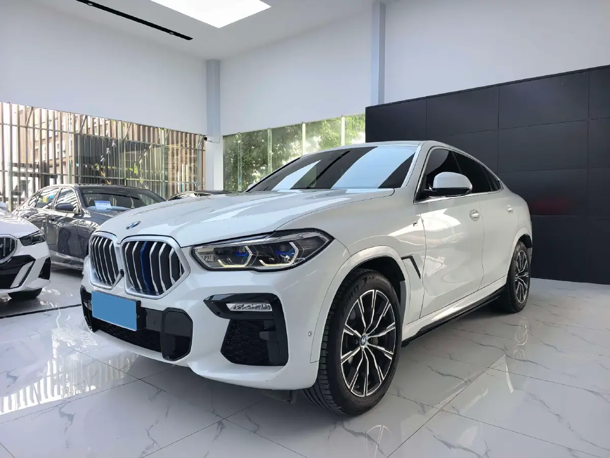 2020 BMW X6 3.0T 340HP L6 8AT