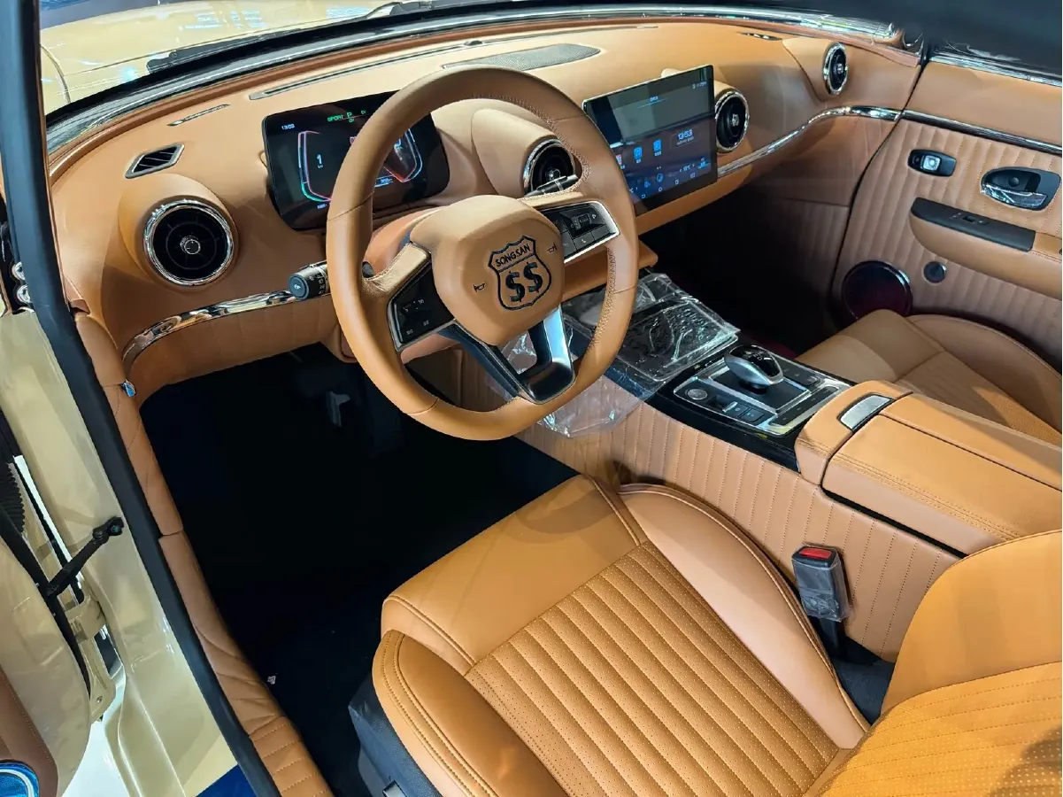 2021 SONGSAN MOTORS SS DOLPHIN 1.5T 160HP L4 6DCT PHEV 16KWH,autocango,china used car exporter,china ev exporter,chinese used car exporter,chinese used ev exporter