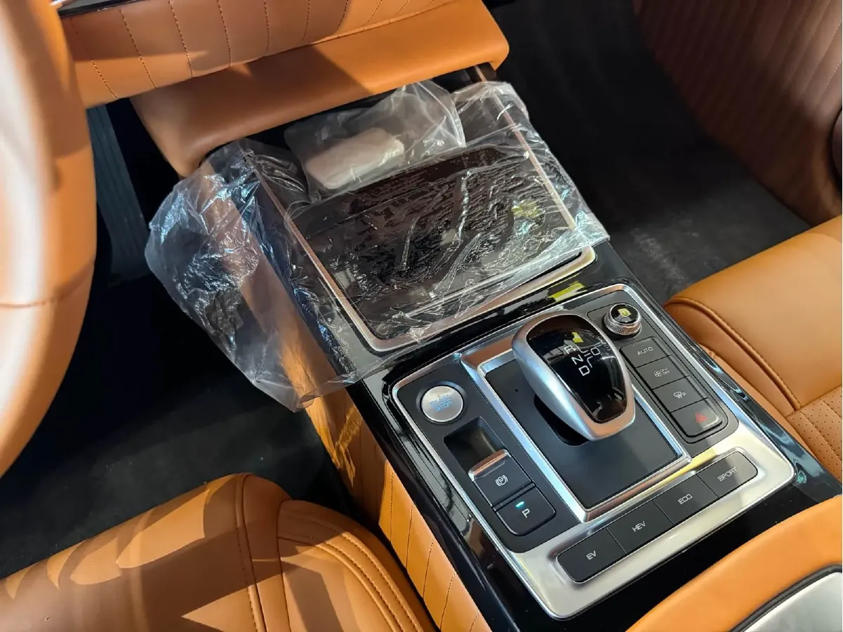 2021 SONGSAN MOTORS SS DOLPHIN 1.5T 160HP L4 6DCT PHEV 16KWH,autocango,china used car exporter,china ev exporter,chinese used car exporter,chinese used ev exporter