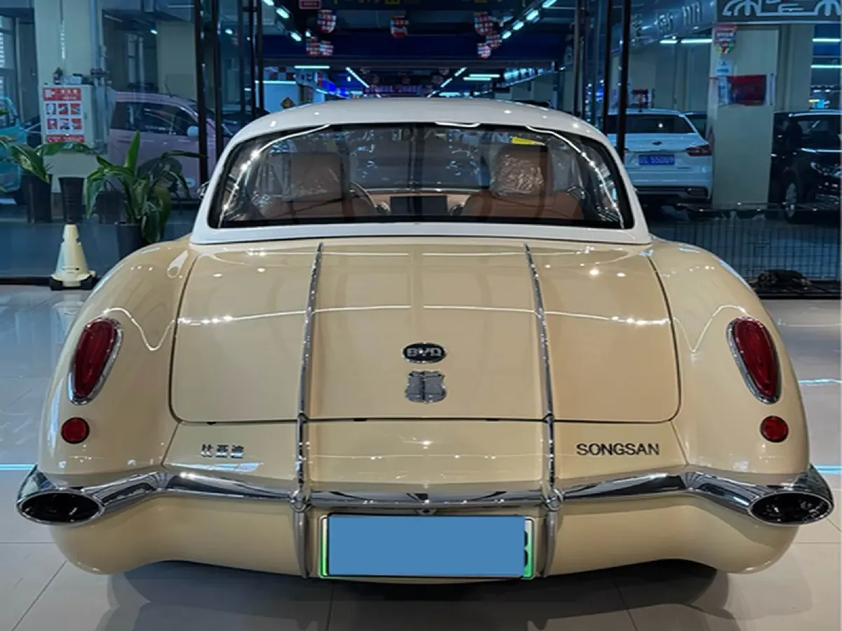 2021 SONGSAN MOTORS SS DOLPHIN 1.5T 160HP L4 6DCT PHEV 16KWH,autocango,china used car exporter,china ev exporter,chinese used car exporter,chinese used ev exporter