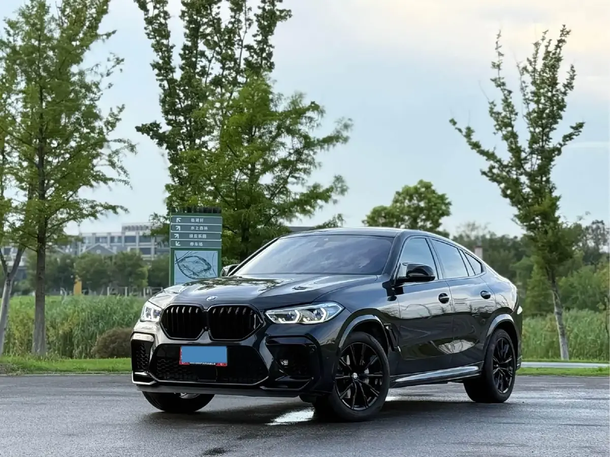 2022 BMW X6 3.0T 333HP L6 8AT