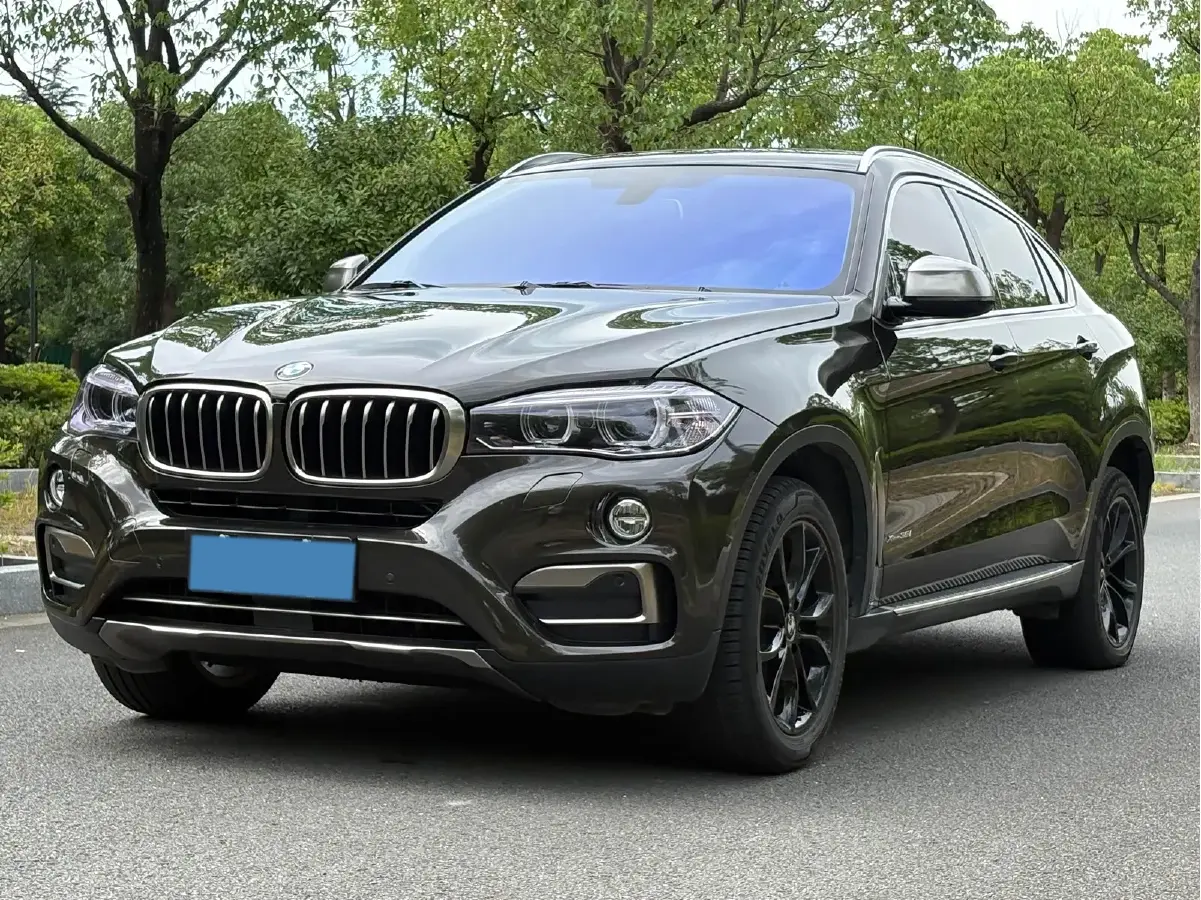 2015 BMW X6 3.0T 306HP L6 8AT