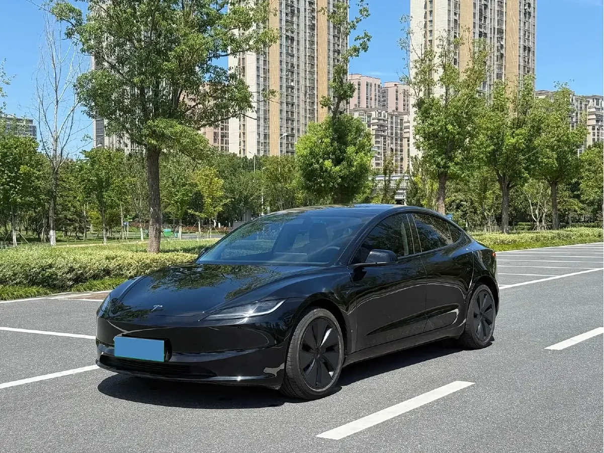 2025 Tesla Model 3 BEV