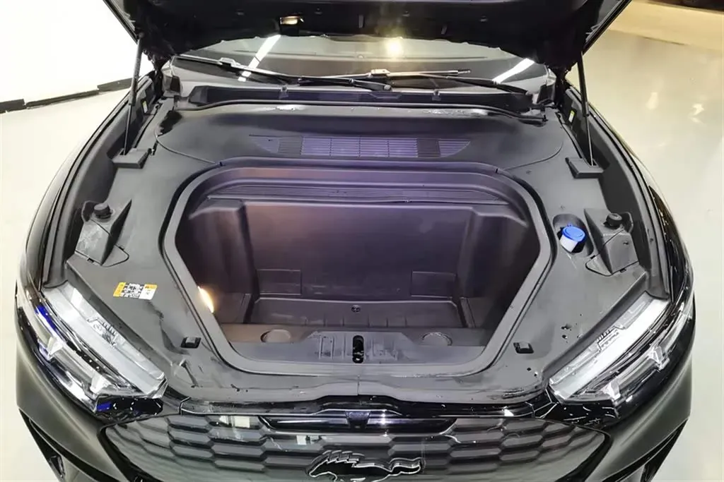 2021 Ford Mustang Mach-E BEV 61.5KWH,autocango,china used car exporter,china ev exporter,chinese used car exporter,chinese used ev exporter