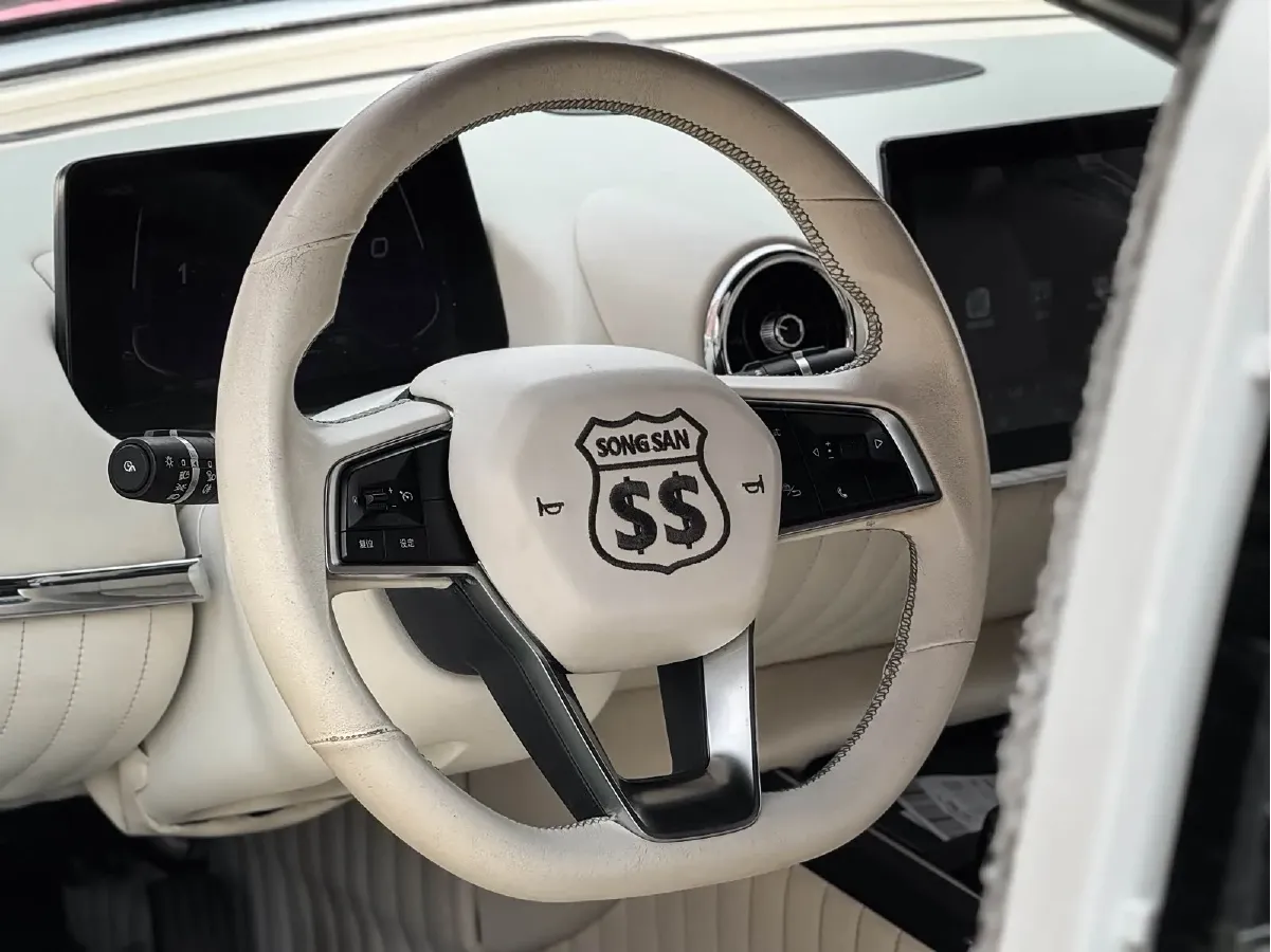 2021 SONGSAN MOTORS SS DOLPHIN 1.5T 160HP L4 6DCT PHEV 16KWH,autocango,china used car exporter,china ev exporter,chinese used car exporter,chinese used ev exporter