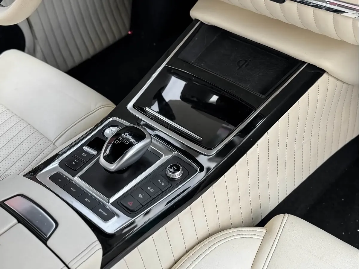 2021 SONGSAN MOTORS SS DOLPHIN 1.5T 160HP L4 6DCT PHEV 16KWH,autocango,china used car exporter,china ev exporter,chinese used car exporter,chinese used ev exporter