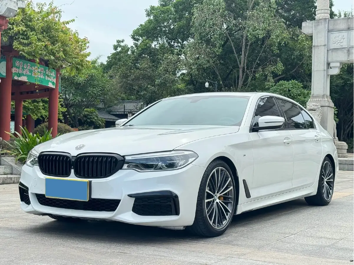 2020 BMW 5 Series 2.0T 252HP L4 8AT