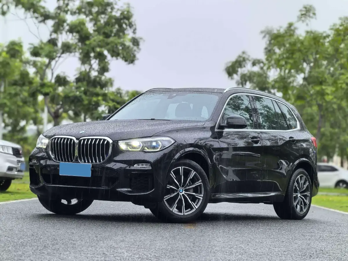 2019 BMW X5 3.0T 340HP L6 8AT