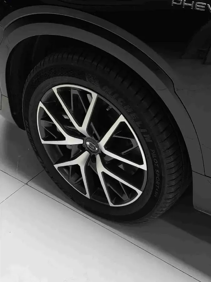 2024 GAC Trumpchi ES9 2.0T 190HP L4 2DHT PHEV 25.57KWH,autocango,china used car exporter,china ev exporter,chinese used car exporter,chinese used ev exporter