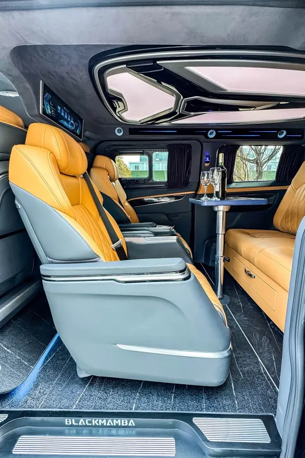 2024 Ford Tourneo 2.0T 220HP L4 9AT,autocango,china used car exporter,china ev exporter,chinese used car exporter,chinese used ev exporter