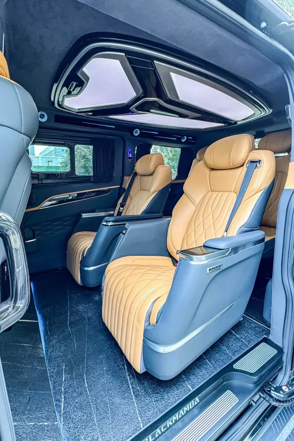 2024 Ford Tourneo 2.0T 220HP L4 9AT,autocango,china used car exporter,china ev exporter,chinese used car exporter,chinese used ev exporter