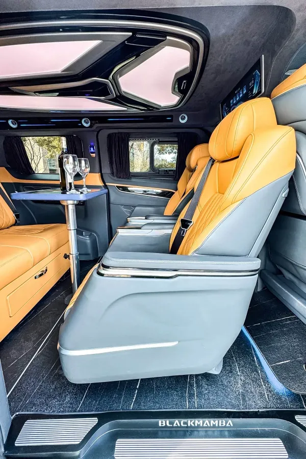 2024 Ford Tourneo 2.0T 220HP L4 9AT,autocango,china used car exporter,china ev exporter,chinese used car exporter,chinese used ev exporter