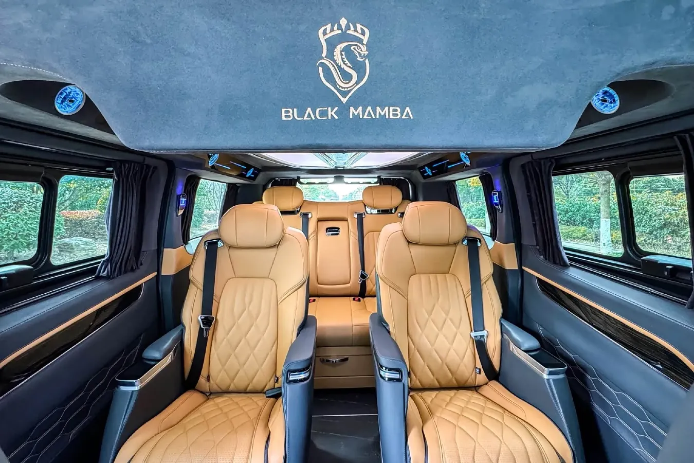 2024 Ford Tourneo 2.0T 220HP L4 9AT,autocango,china used car exporter,china ev exporter,chinese used car exporter,chinese used ev exporter